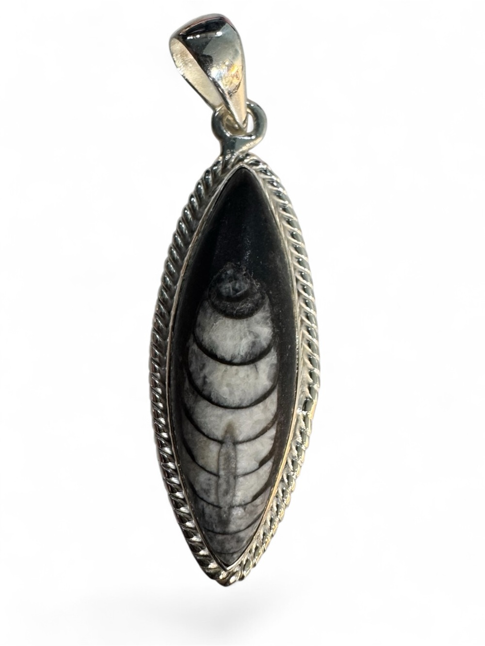 Sterling Silver Fossil Othoceras Pendant